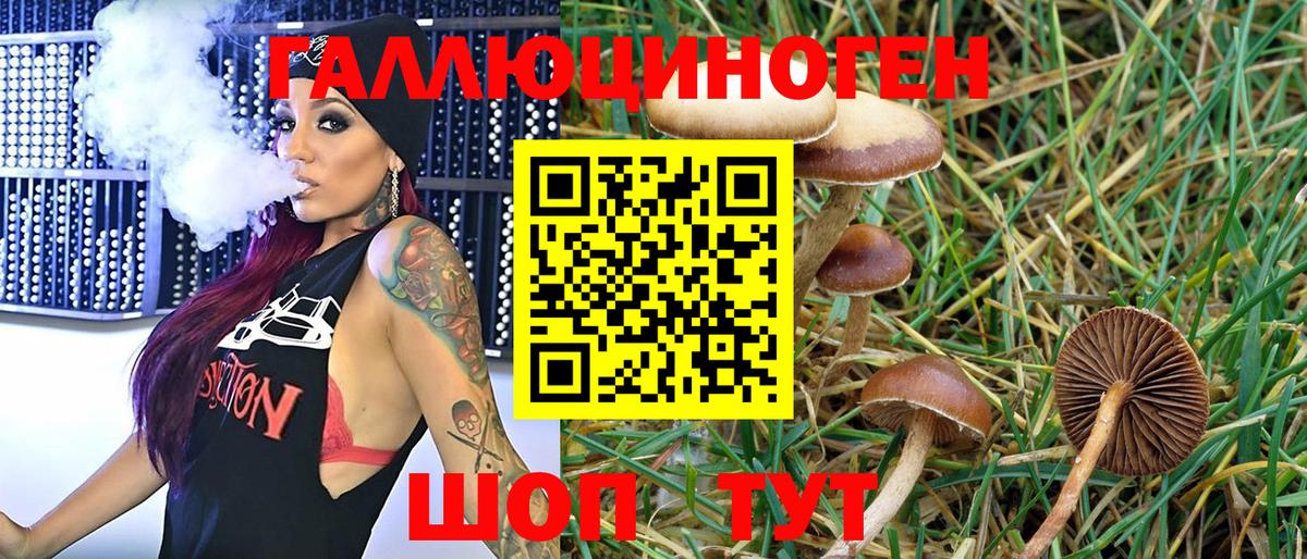 Псилоцибиновые грибы мухоморы  Галлюциногенные грибы Psilocybe  Вход с VPN  Печора 